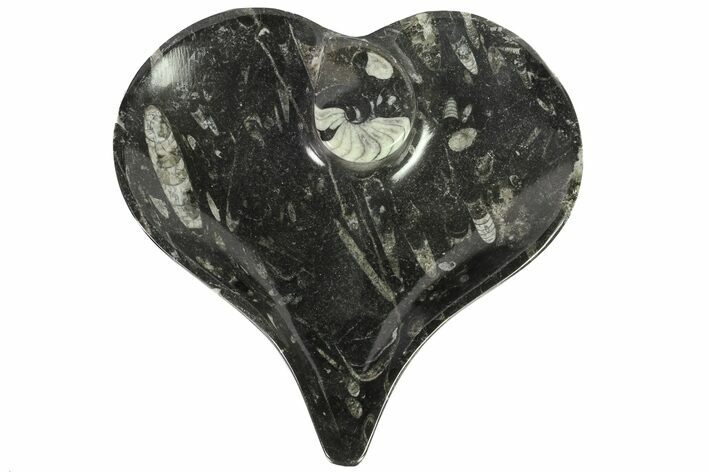 Heart Shaped Fossil Goniatite Dish #77683